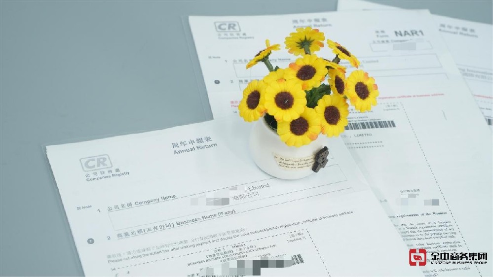 香港公司年审 香港公司年审